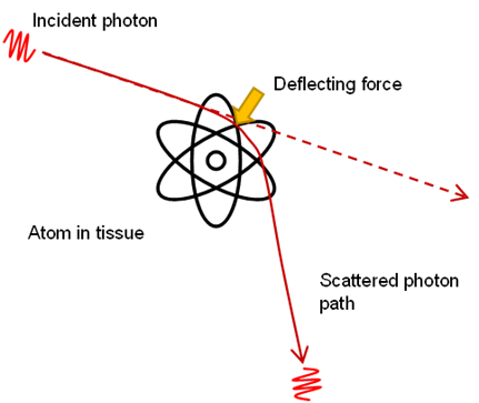 Absorption des rayons X Diffusion simple de Rayleigh StudySmarter