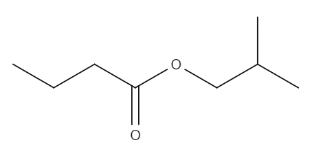 Structure du butanoate de méthylpropyle, StudySmarter