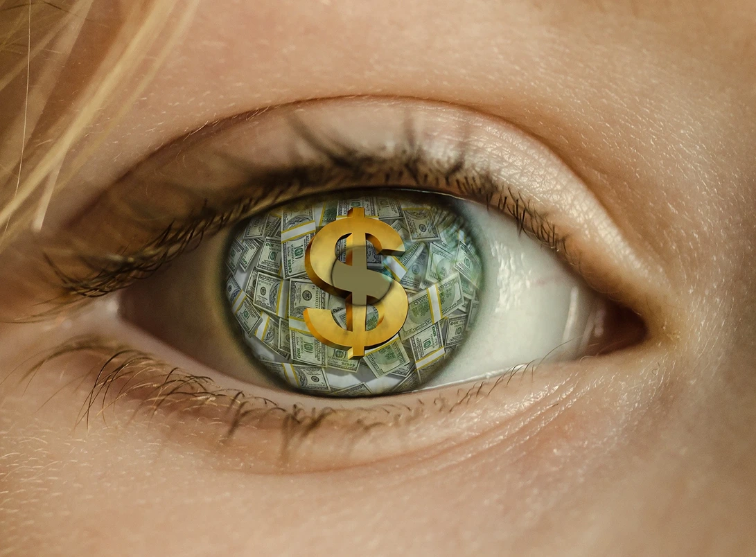 Autosuficiencia, Primer plano de un ojo. En lugar del Iris hay dólares y un signo de dólar, StudySmarter
