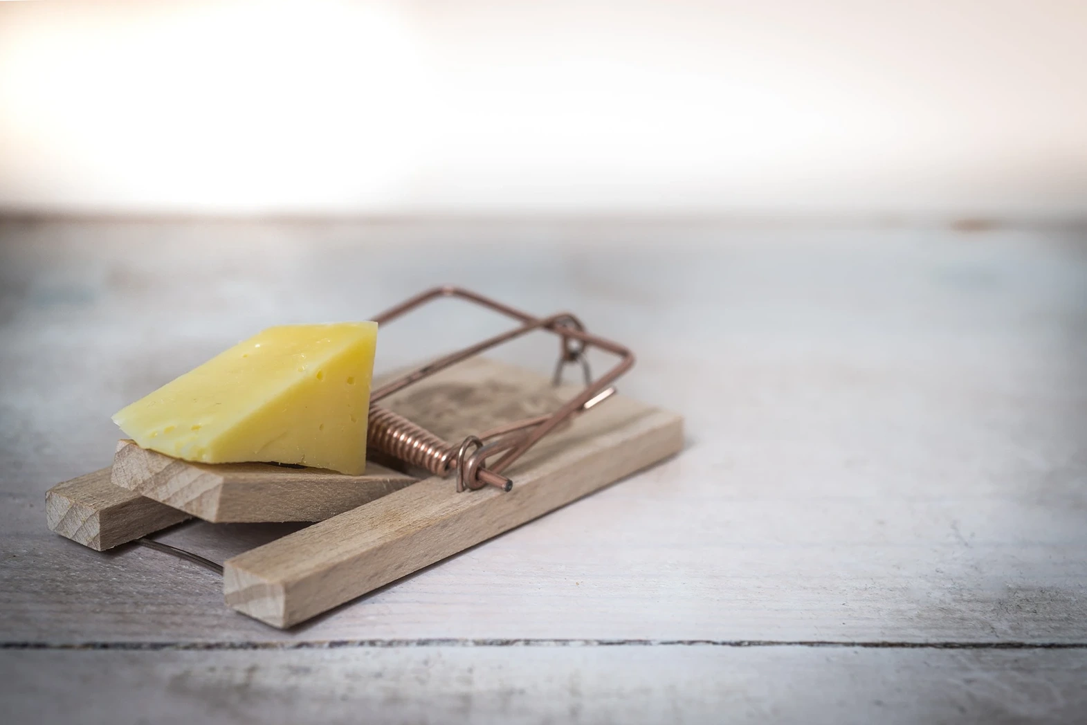William S. Burroughs, Mouse trap with cheese, 91Ó°ÊÓ
