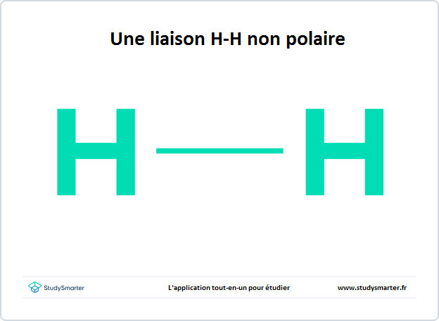 Molécule polaire et apolaire, Molécule d'une liaison H-H non polaire, StudySmarter