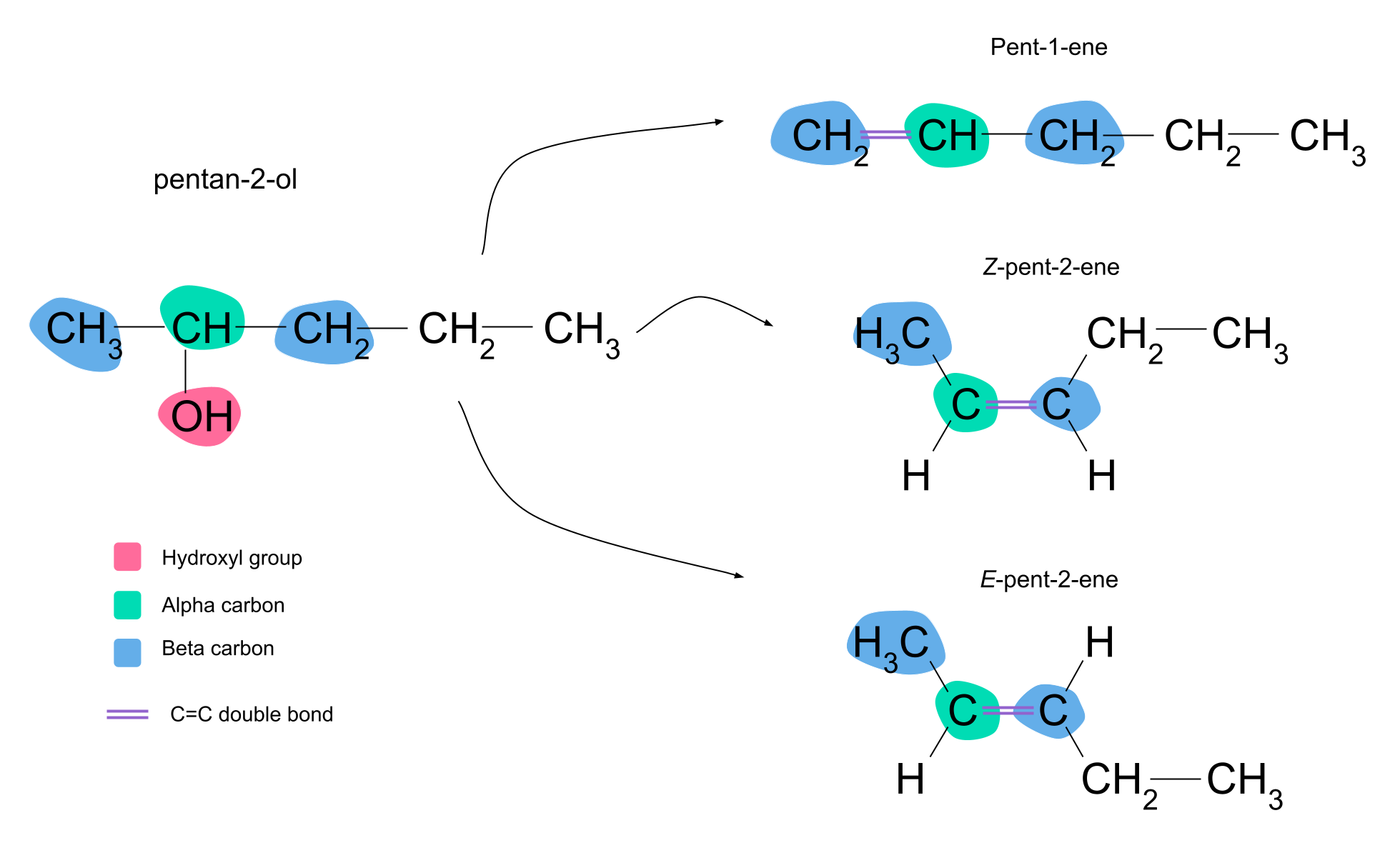 Reacción de eliminación del alcohol pentan-2-ol eliminación pent-1-eno pent-2-eno diagrama de isómeros StudySmarter