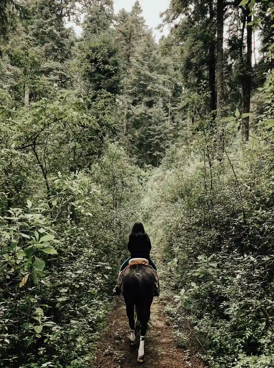 Semana Santa de 1916, Mujer montando a caballo por el bosque, StudySmarter