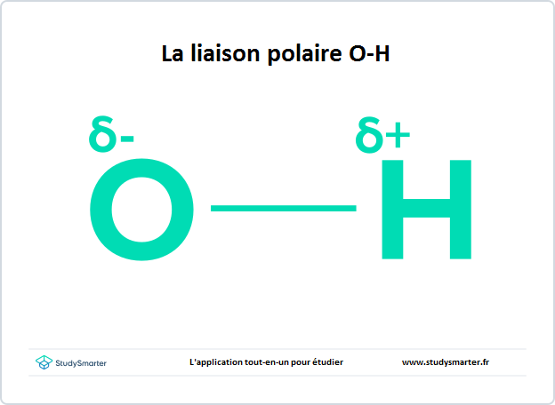 Molécule polaire et apolaire, Molécule de la liaison polaire O-H , StudySmarter