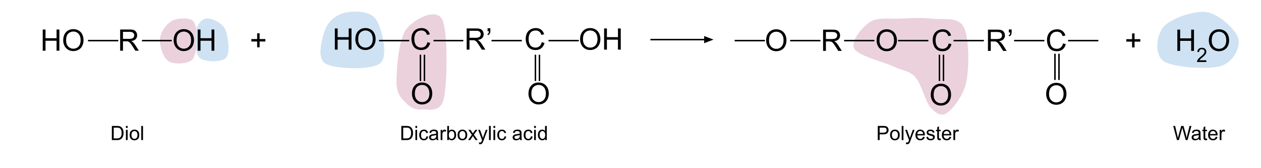 Polymères de condensation, réaction de polymérisation entre un diol et un acide dicarboxylique, StudySmarter