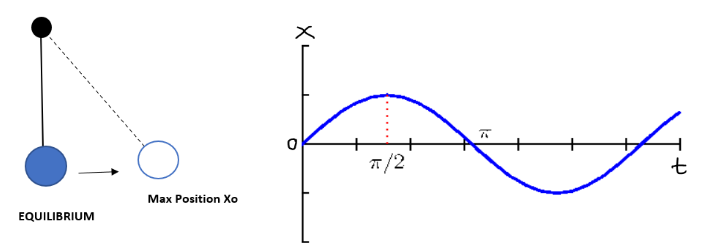Mouvement harmonique simple, exemple de pendule et courbe sinusoïdale, StudySmarter
