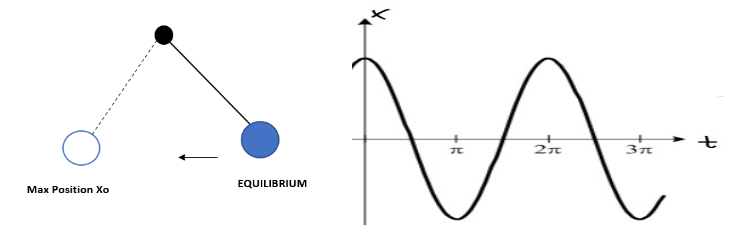 Mouvement harmonique simple, exemple de pendule et graphique du cosinus, StudySmarter