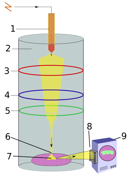 Microscopio elettronico Microscopio elettronico a scasione SEM StudySmarter