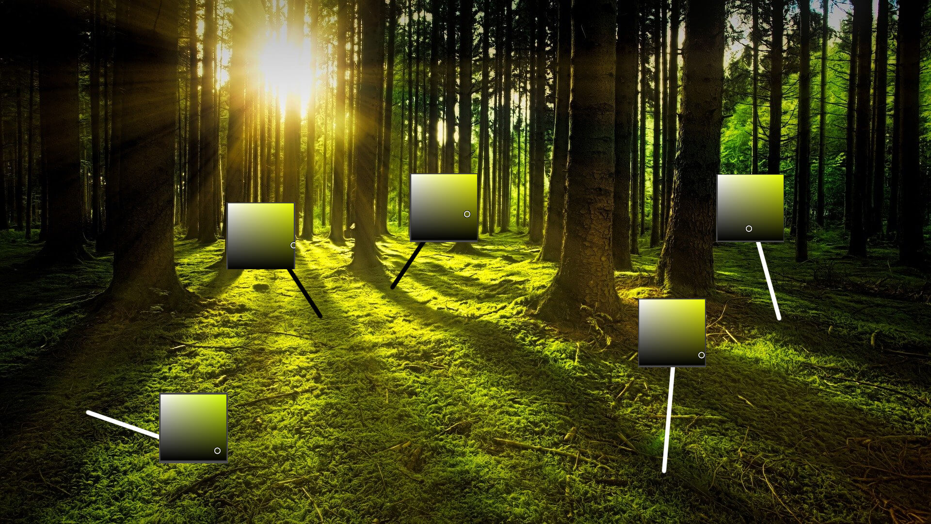 Licht und Schatten Kunst Farben Schatten zeichnen Tonwerte StudySmarter