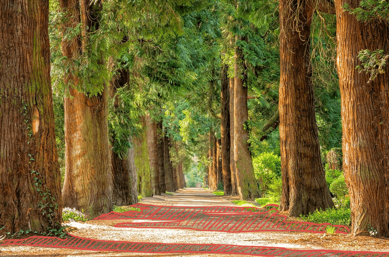 Licht und Schatten Kunst Malerei Schlagschatten StudySmarter