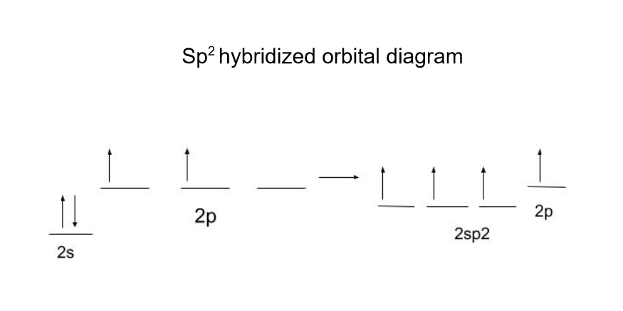 Hybridation des liaisons Schéma orbital hybride sp2 StudySmarter