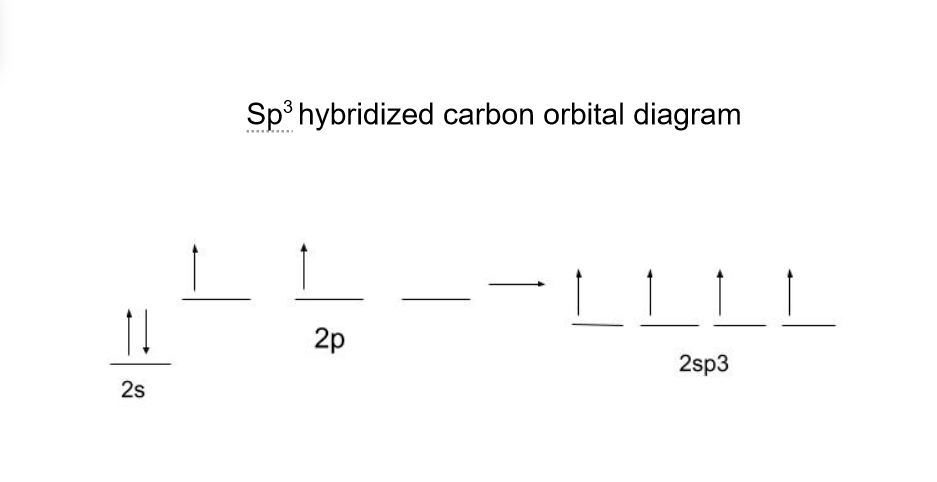 Hybridation des liaisons carbone hybridé sp3 StudySmarter