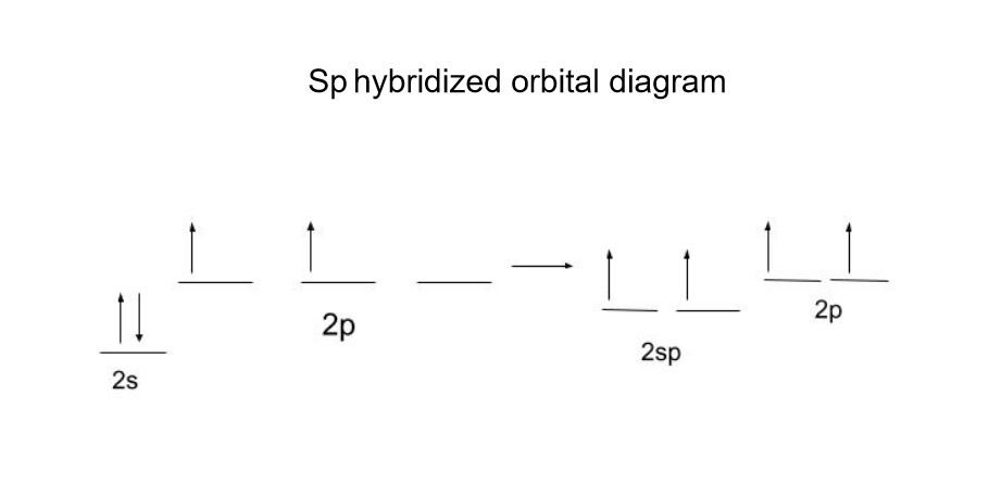 Hybridation de la liaison sp diagramme orbital hybridé StudySmarter