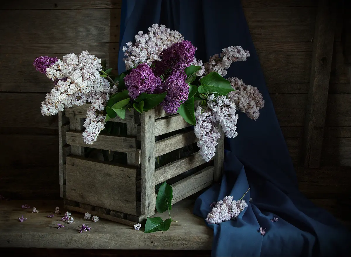 Cuando las lilas florecieron por última vez en el jardín', Lilas en una caja de madera, StudySmarter