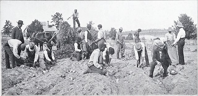 Booker T Washington Tuskegee Students farming StudySmarter