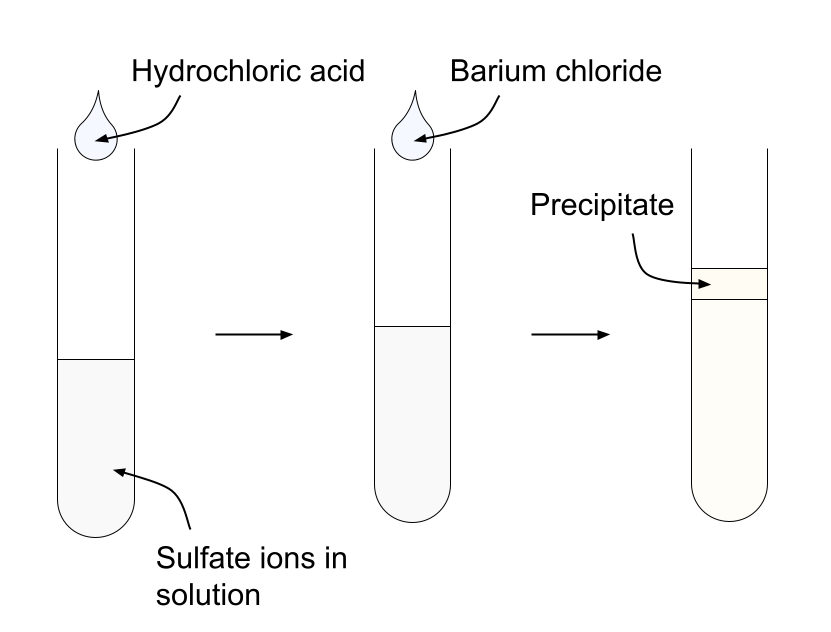 Test pour les anions ions sulfate test StudySmarter