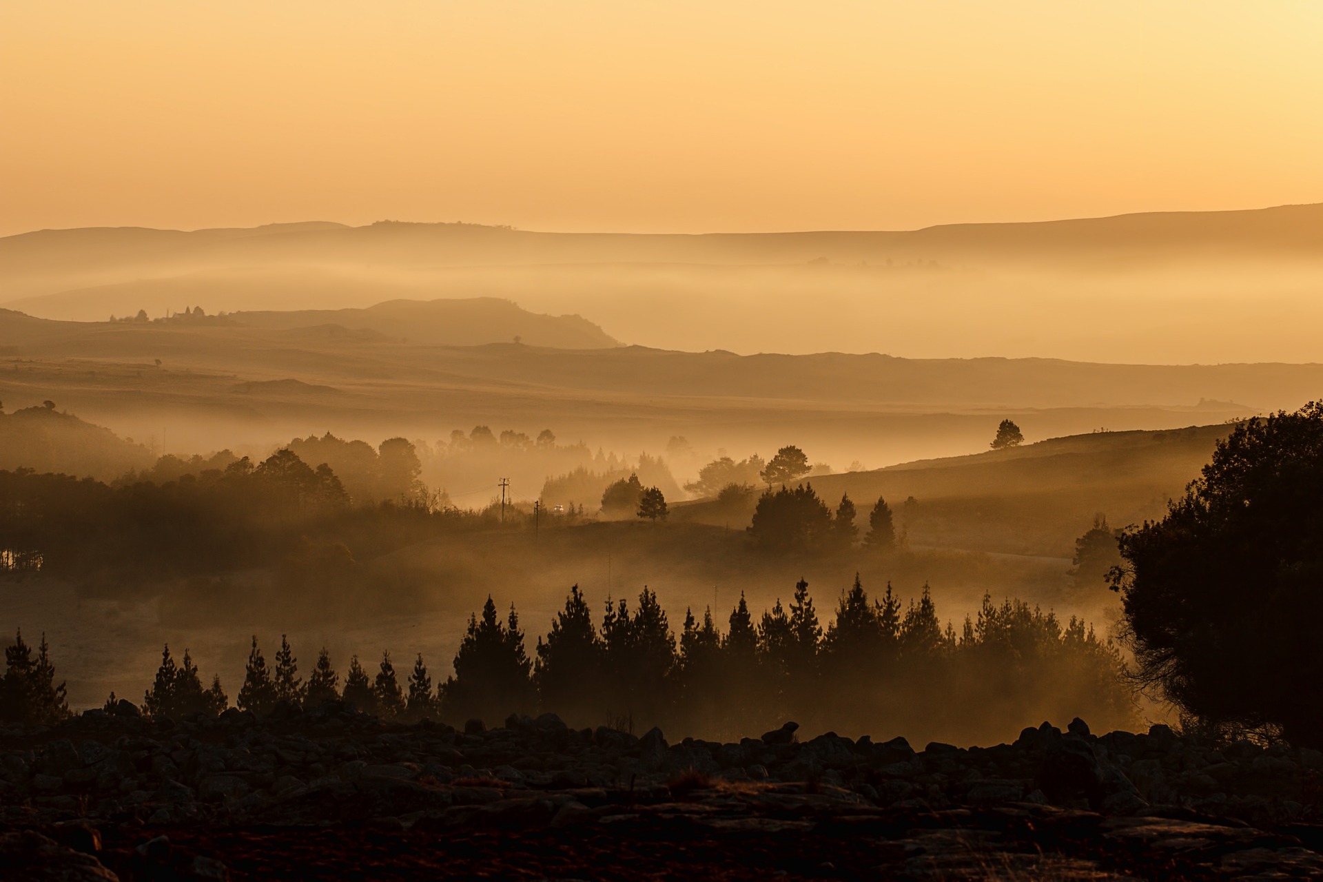 The Love Song of J. Alfred Prufrock, Yellow fog in the woods, StudySmarter