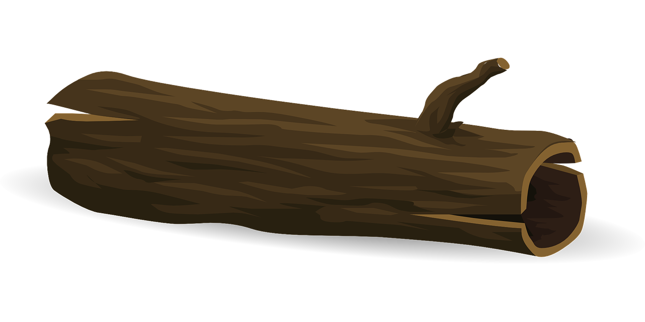 Emancipation from British Dependence, Log, StudySmarter