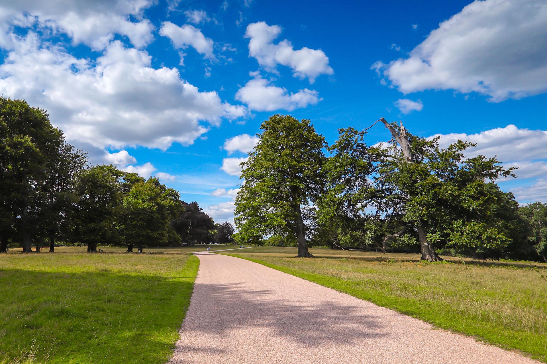 Alexander Pope Binfield Windsor Forest StudySmarter