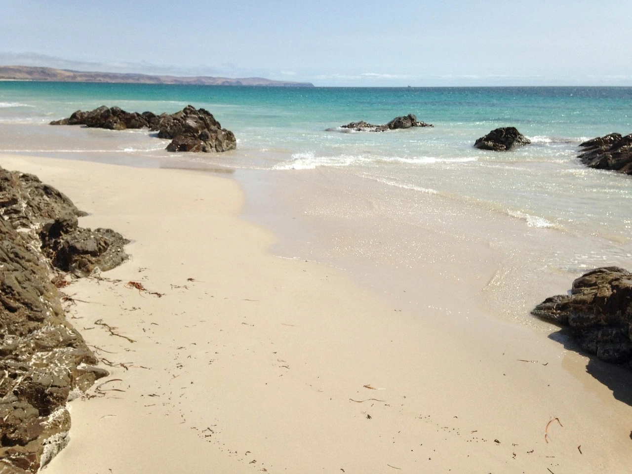 El Señor de las Moscas, Isla desierta, StudySmarter