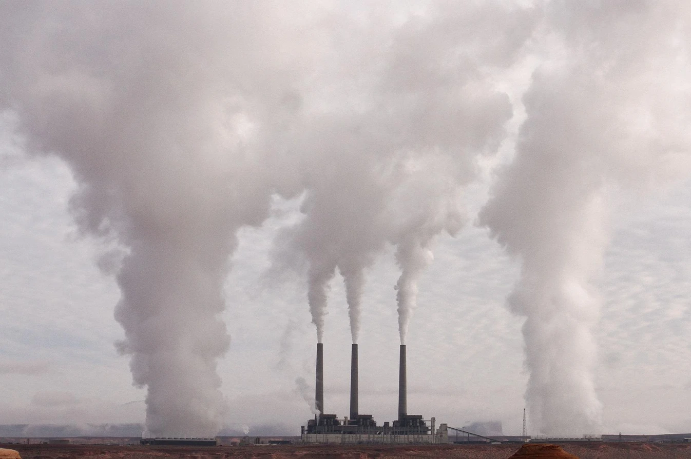 NGOs, Climate Change Role of NGOs in global politics, StudySmarter