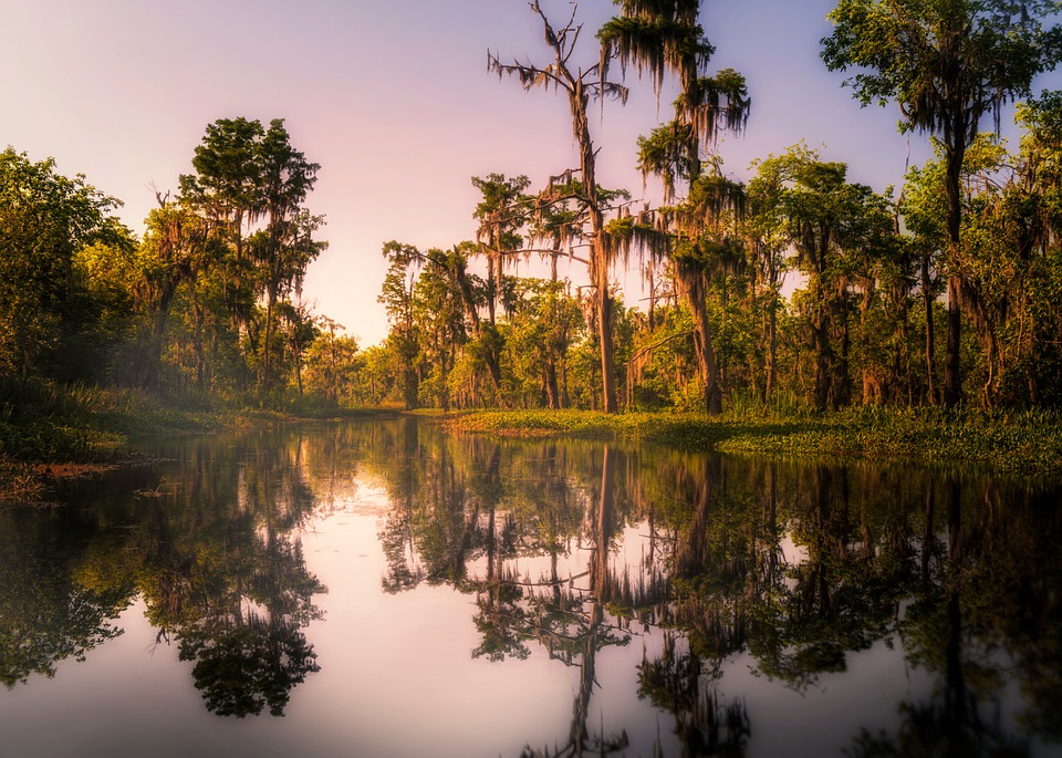 Desiree's Baby, Swamp Setting, 91Ó°ÊÓ