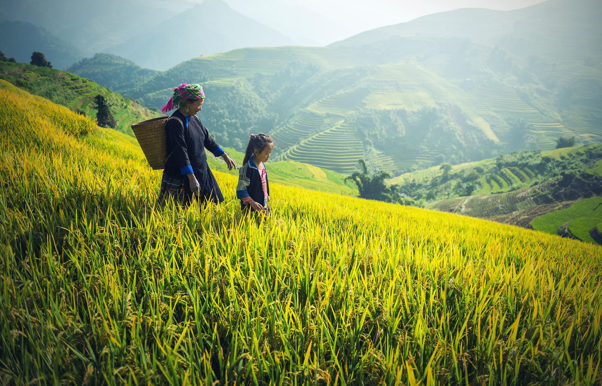 Théorie du post-développement, une femme et un enfant cambodgiens marchent le long d'un champ de culture avec des montagnes en arrière-plan, StudySmarter