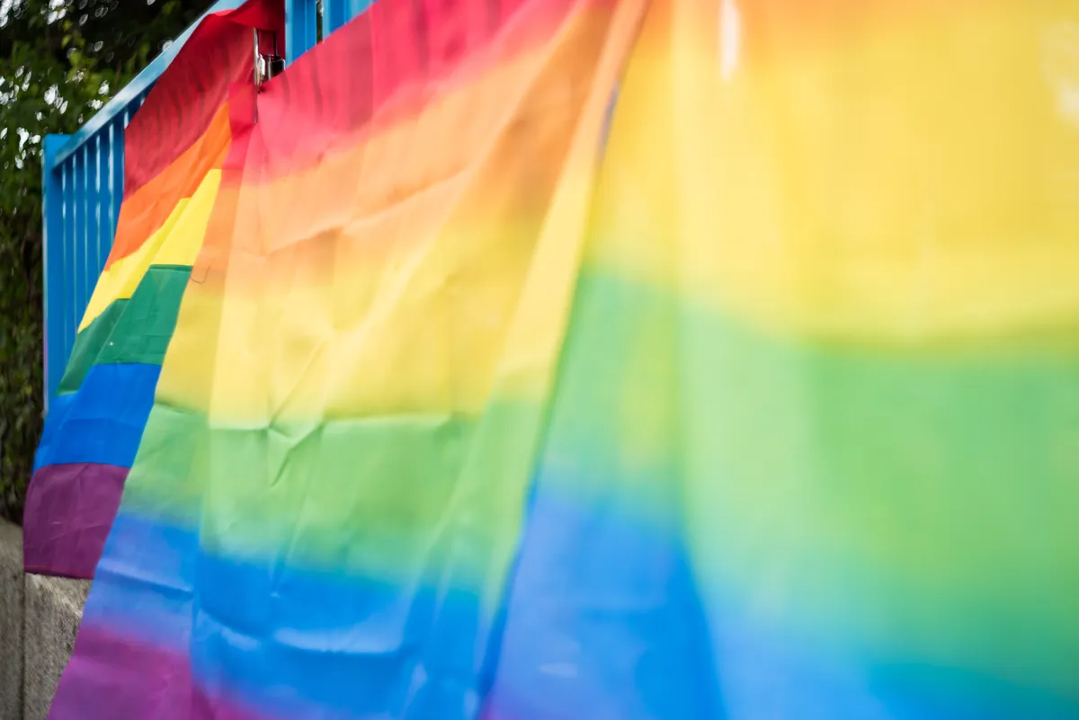 Sexual Orientation, Pride flags hanging on fences, StudySmarter