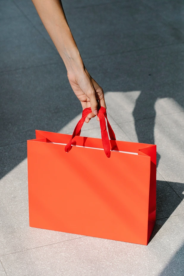 Social Stratification Theories, Arm holding red shopping bag, 91Ó°ÊÓ