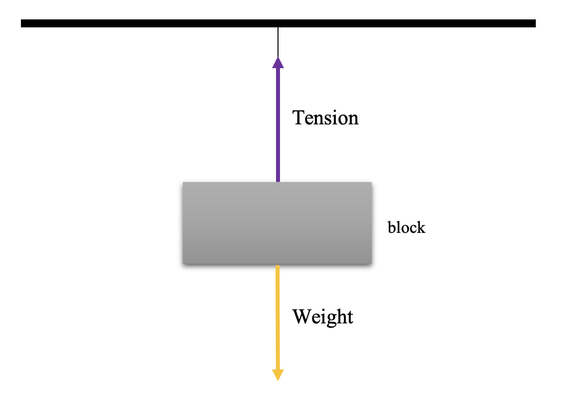 Forces de contact L'image montre la tension qui agit sur une corde qui tient un poids StudySmarter