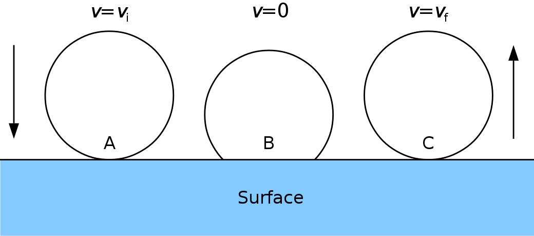 Diagrama de fuerzas de impacto de una pelota que rebota StudySmarter