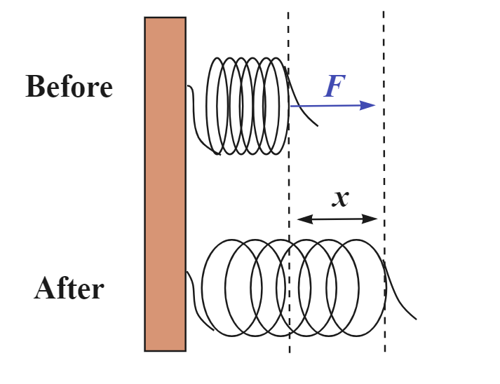 Formes d'énergie Énergie potentielle élastique dans un ressort étiré StudySmarter