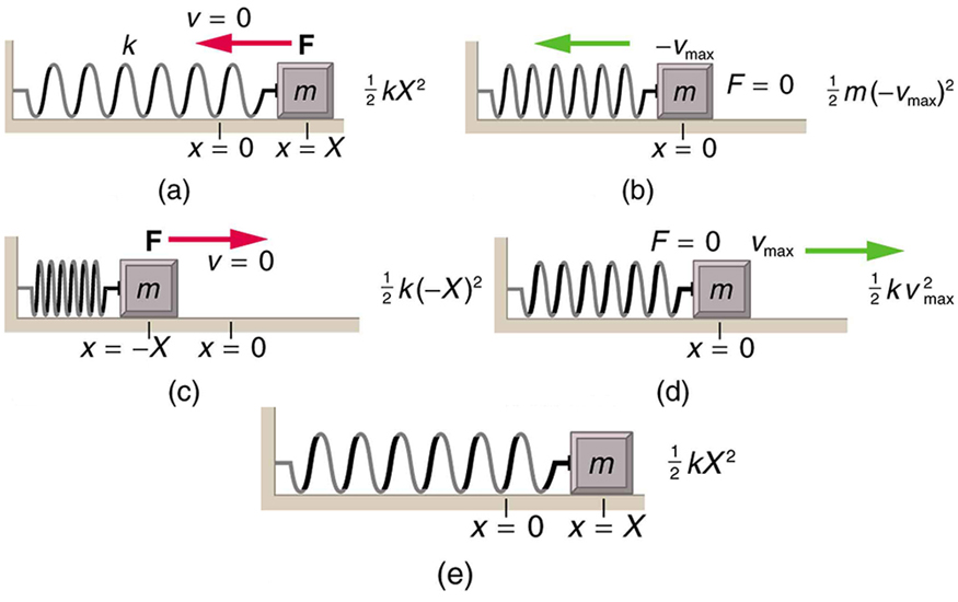 L'énergie dans le mouvement harmonique simple Le ressort en tant qu'oscillateur harmonique simple StudySmarter