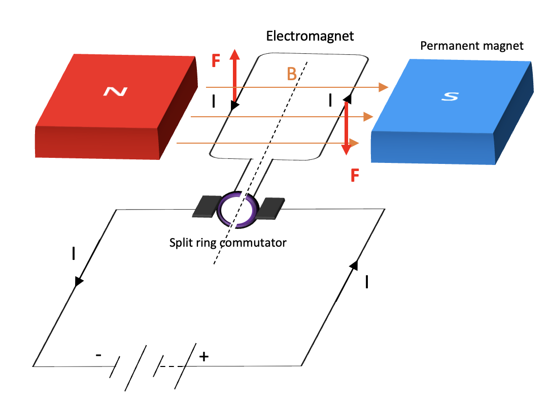 Règle de la main gauche de Fleming Diagramme d'un moteur électrique StudySmarter