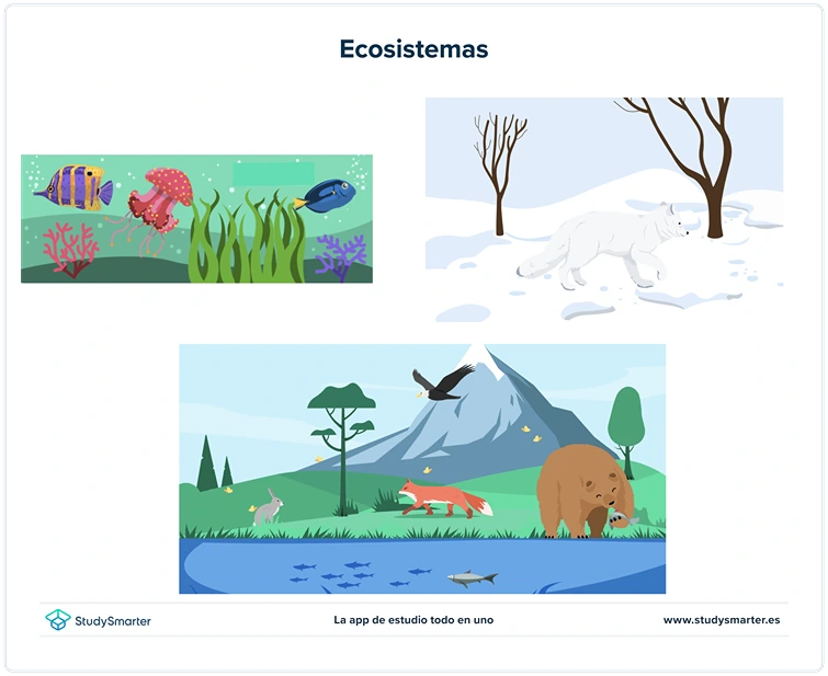 Biodiversidad diversidad ecosistemas poblaciones comunidades StudySmarter
