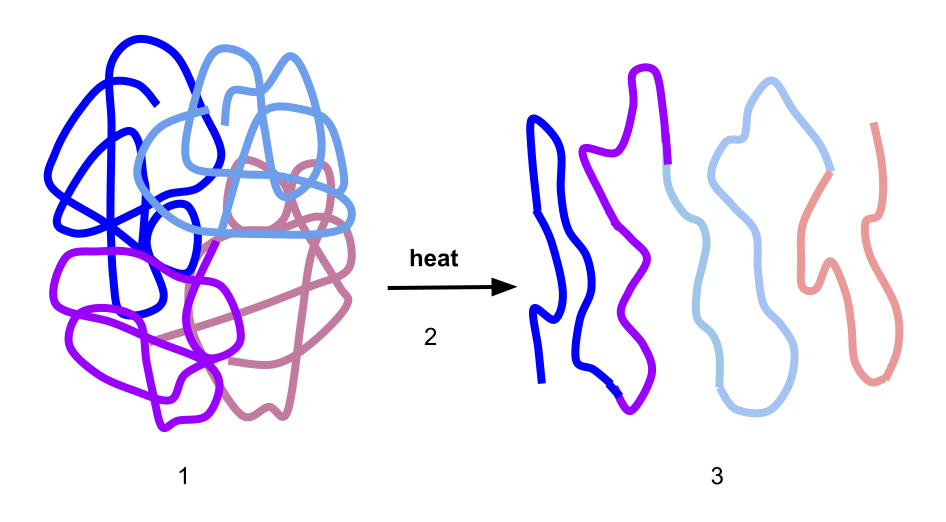 Enzimas, factores como el calor afectan a la estructura tridimensional de las proteínas provocando su desnaturalización, StudySmarter