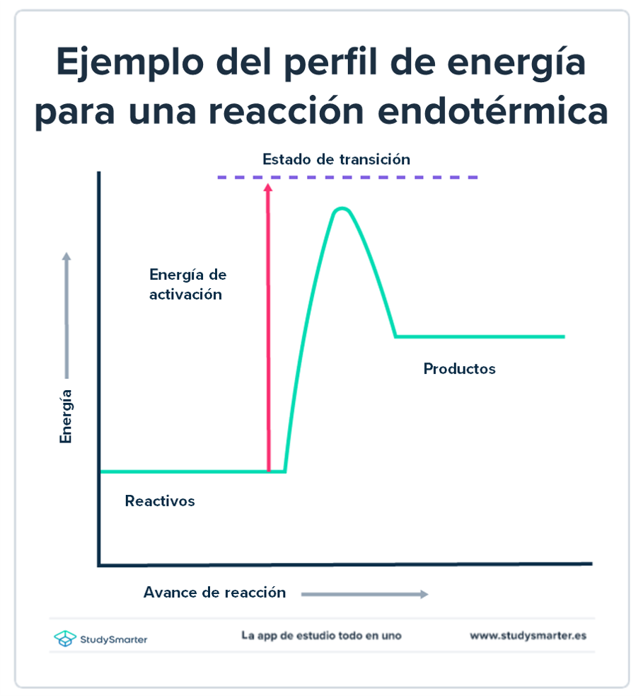 Cómo ocurren las reacciones químicas perfil energía reacción endotérmica StudySmarter