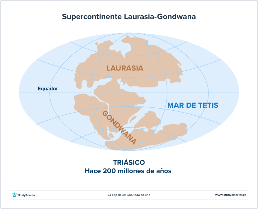 Evidencias evolutivas Diagrama de supercontinente Laurasia-Gondwana StudySmarter