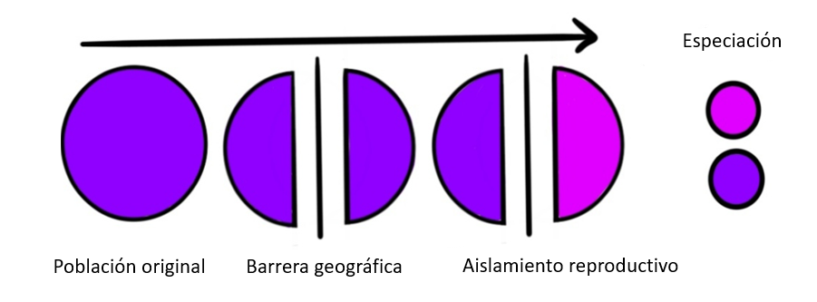 Especiación alopátrica