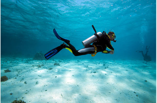Diver, Pixabay.
