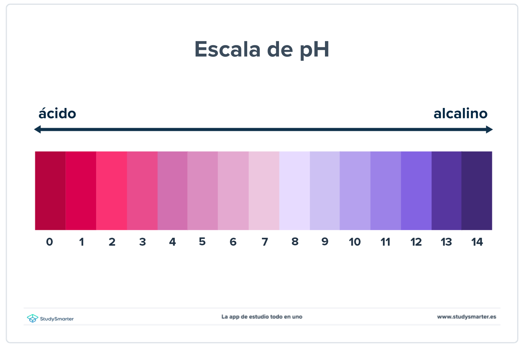 Ácidos y bases conjugadas la escala del pH StudySmarter