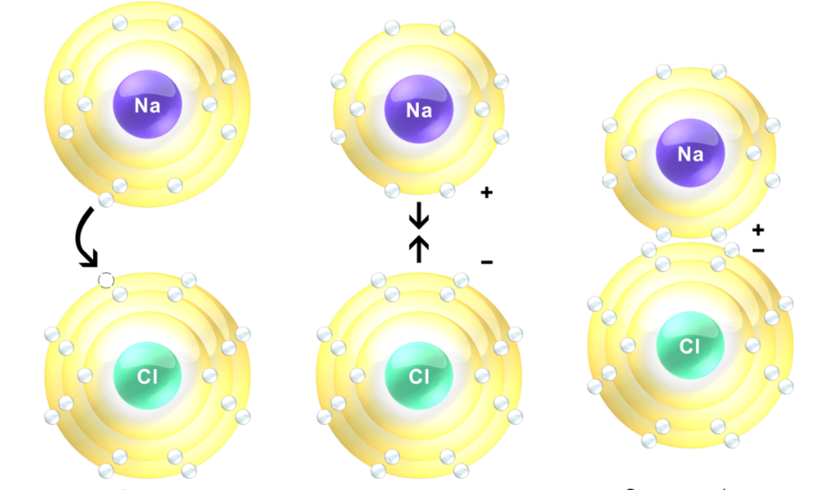 Hidrólisis de sales Enlace iónico entre sodio y cloro (NaCl) StudySmarter