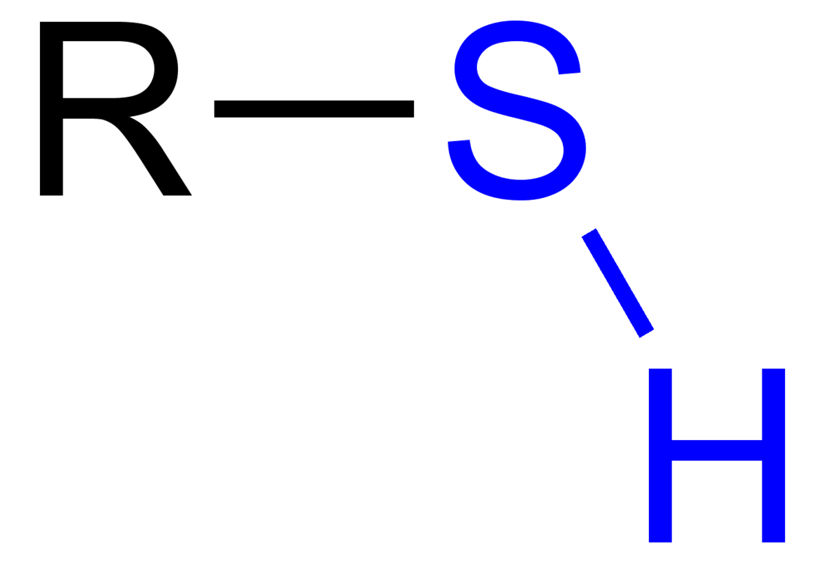 Thiol Group, Wikimedia Commons