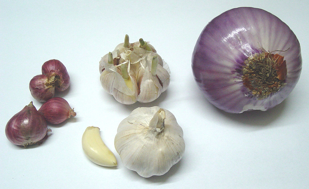 Onion and garlic, Wikimedia Commons