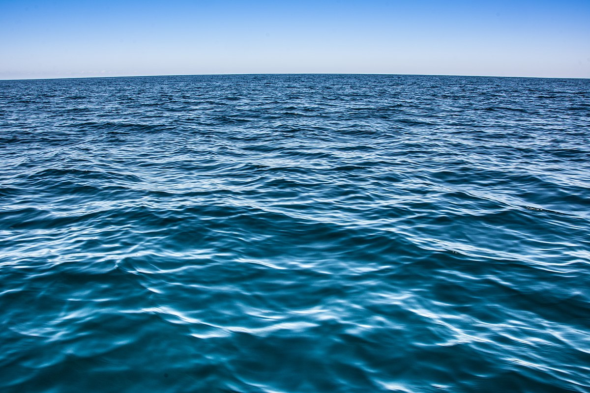 Fondo del océano