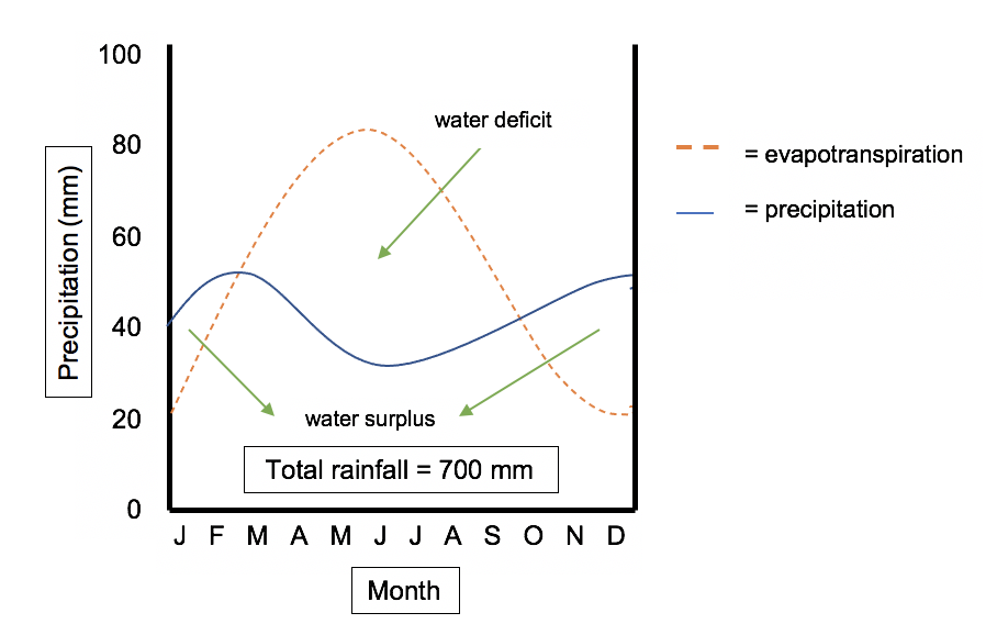 Presupuesto de agua, gráfico del presupuesto de agua, StudySmarter