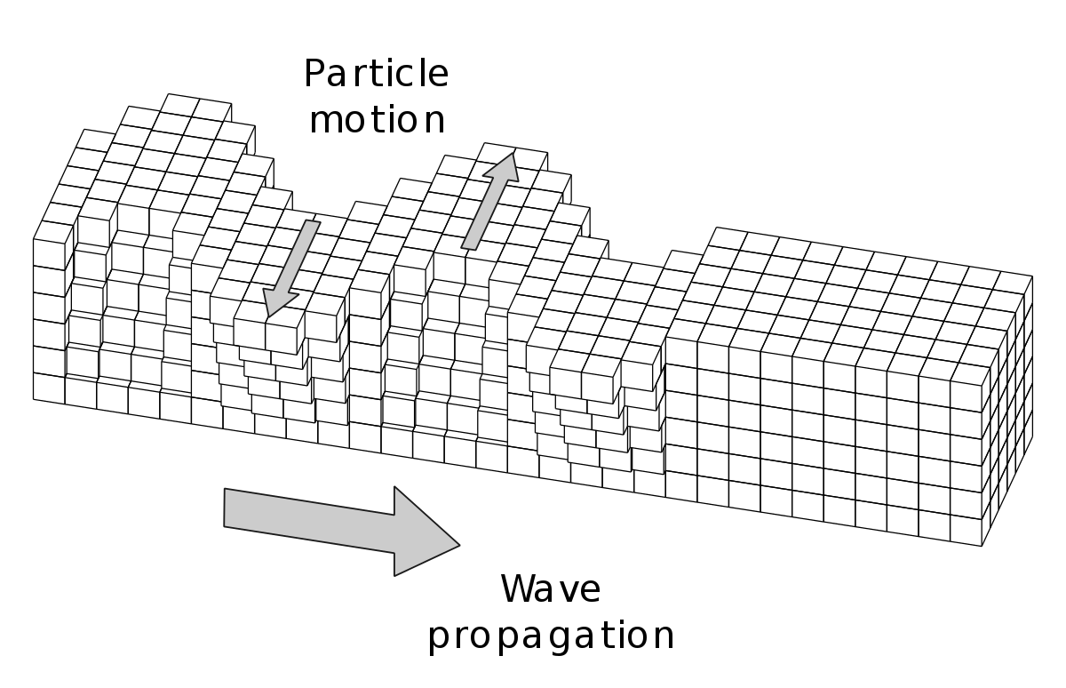 Ondes sismiques Diagramme des ondes sismiques StudySmarter