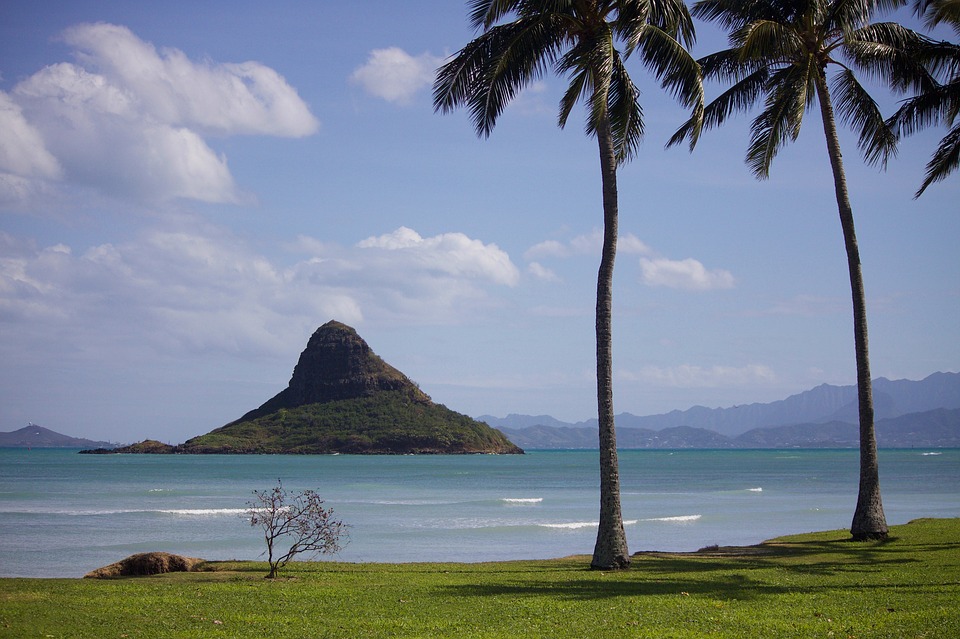 Cathy Song, Oahu Hawaii, StudySmarter