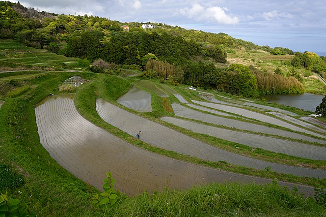 Agriculture, Riz en terrasses StudySmarter