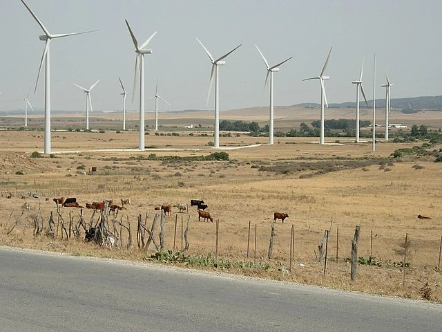 Energía mecánica Molino de viento StudySmarter